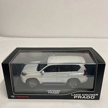 Amazon | 非売品 ミニカーディーラー特注 1/30 ミニカー